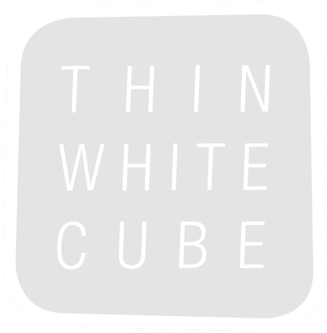 Logo thin whit cube © Willi Nemski 2019